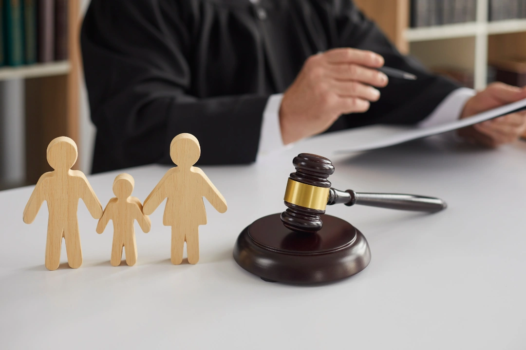 Child Custody - Family law 2
